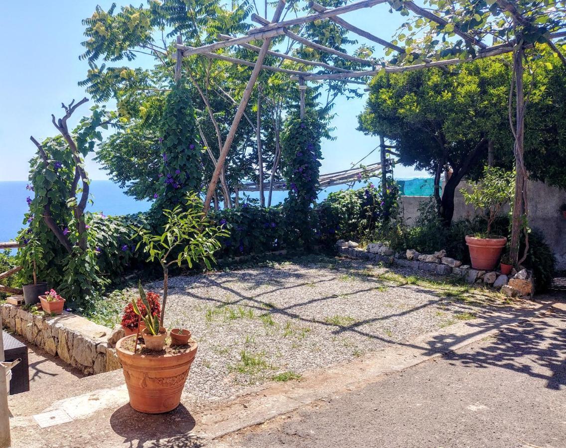 Il Limoneto Apartment Furore Luaran gambar
